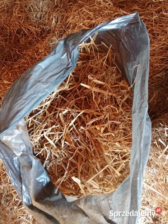 Słoma w workach do auta nie kostka snopki kujawsko-pomorskie Czernikowo