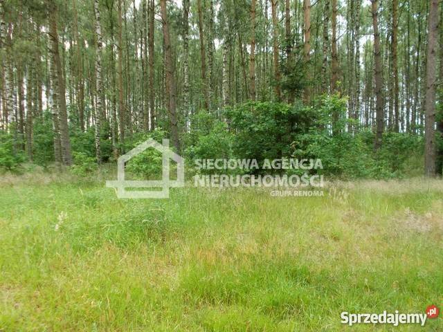 sprzedaży gruntu 41960m2 polna kujawsko-pomorskie