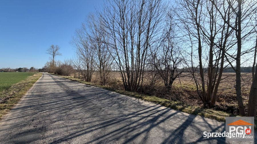 Działka Trzebieszewo 3019m2 szambo Sprzedaż sprzedam
