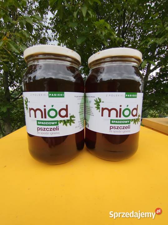 100 Miód spadziowy ze spadzi iglastej naturalny Lipnica Wielka