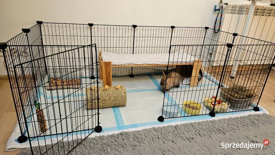 Kojec królika wybieg wewnętrzny klatka metalowa Nekla