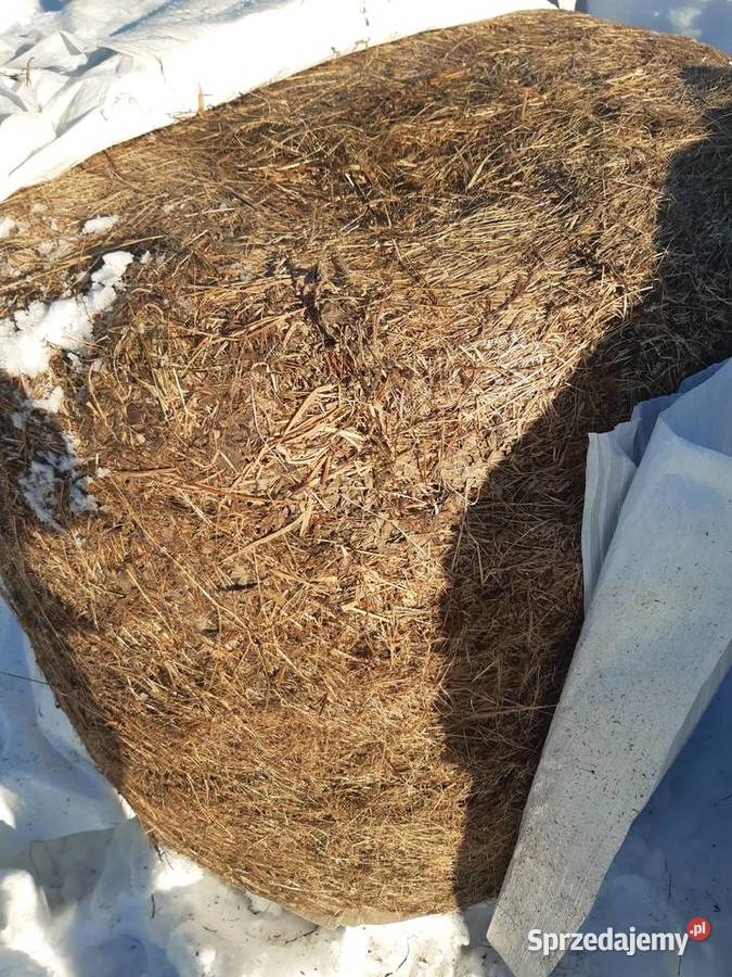 Bele Sianokiszonka siano krowy konie Karmy i pasze Ustrzyki Dolne
