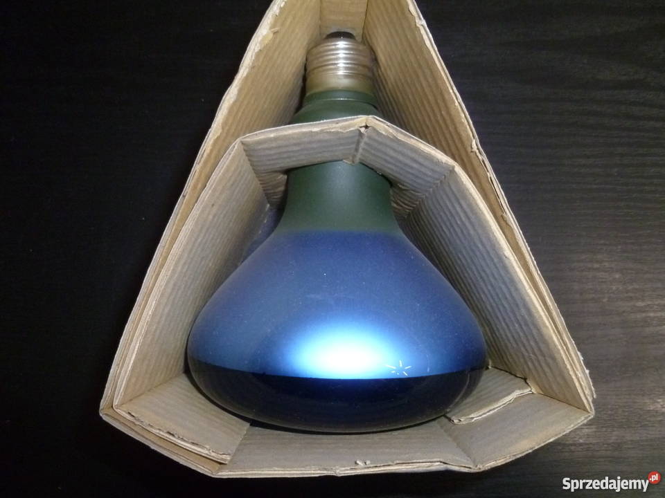 Zarówki foto Kraków