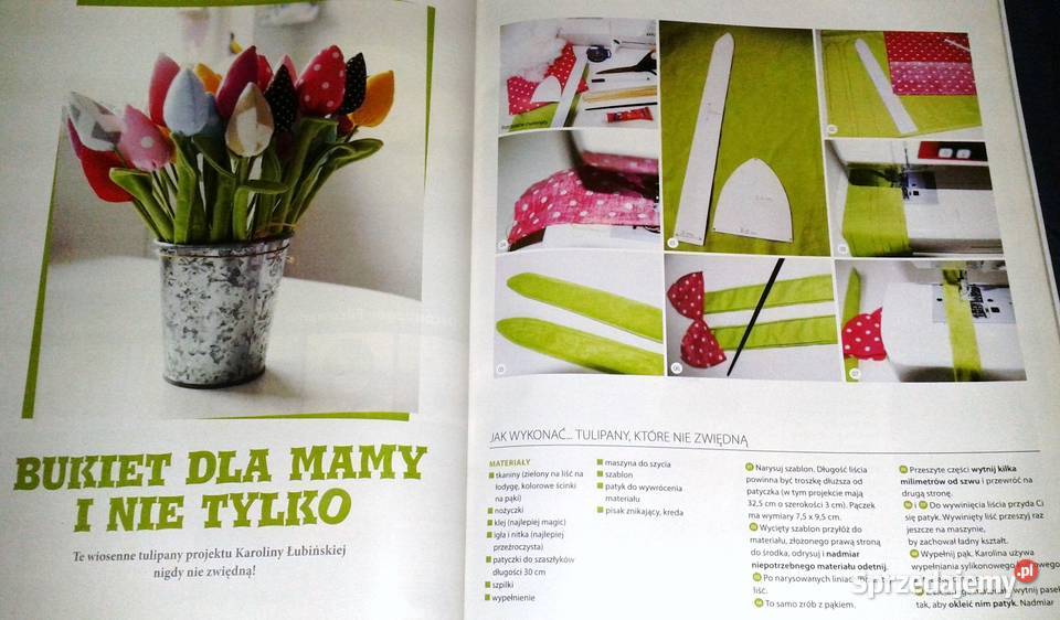 Mollie potrafi 3 9 2015 Chełm