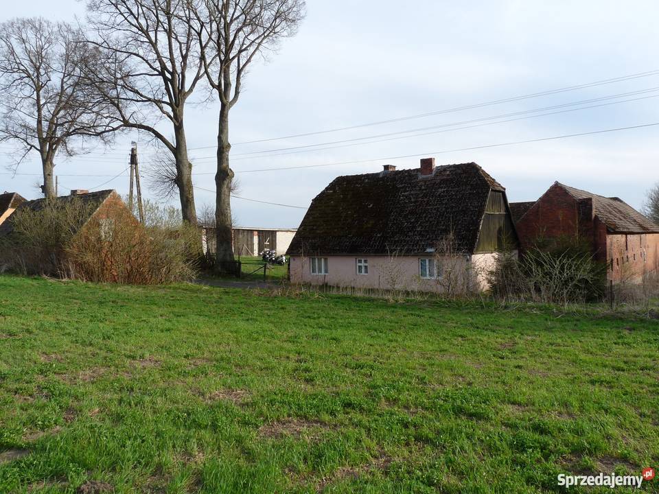 anio Gospodarstwo rolne Paprotki gm Malechowo Grunty i działki Paprotki sprzedam