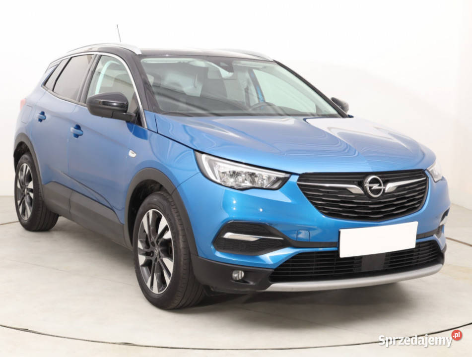 Opel Grandland 12 Turbo wspomaganie kierownicy dolnośląskie