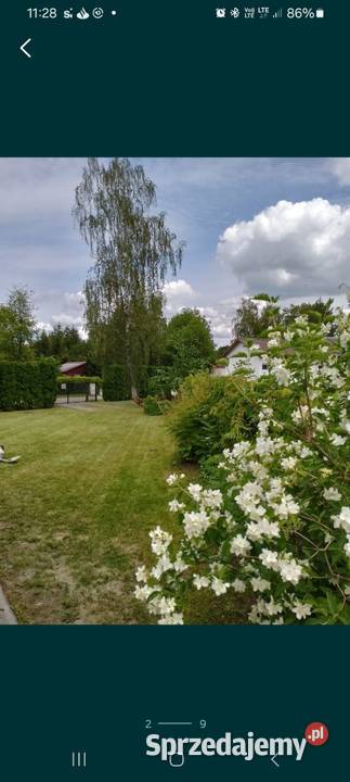 Domek letniskowy jeziorem białym w okunince do Włodawa