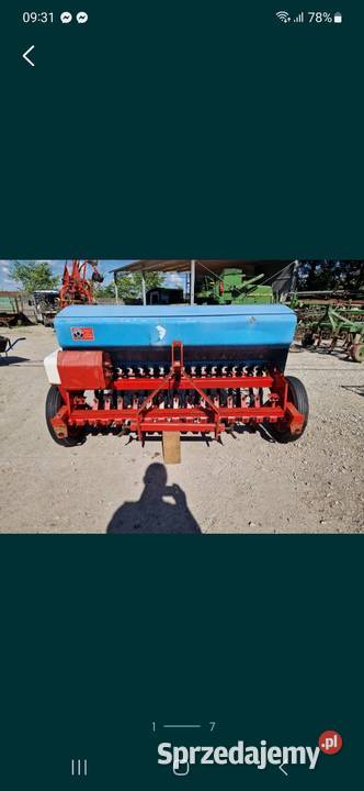 Siewnik Isaria wielkopolskie Pogorzela sprzedam
