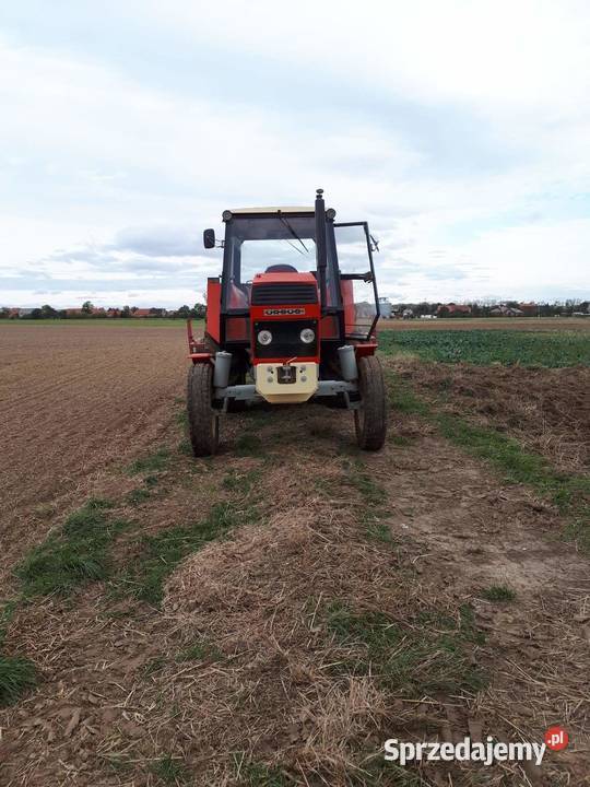 Ursus 1202 Napęd 2x4 Ciągniki Augustowo