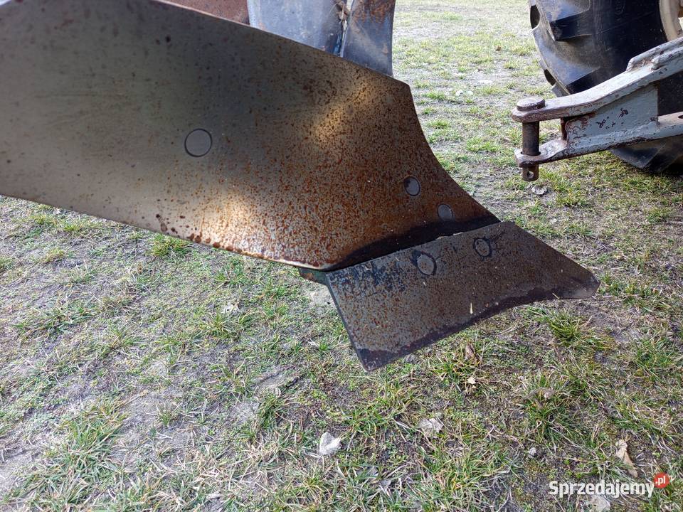 Brona Talerzowa Talerzówka lubelskie Kock