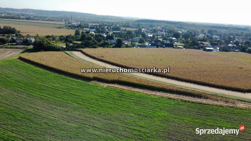 Grunt do sprzedania 4540m2 Buków utwardzona