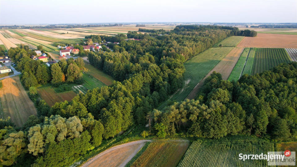 Działka Rakówka 22400m2