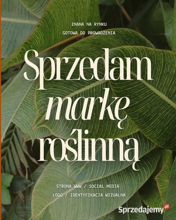 Sprzedam markę roślinną Łódź