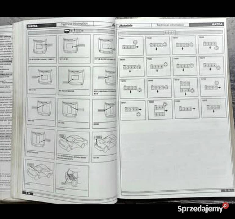 Książka dane diagnostyczne silnika i podwozia