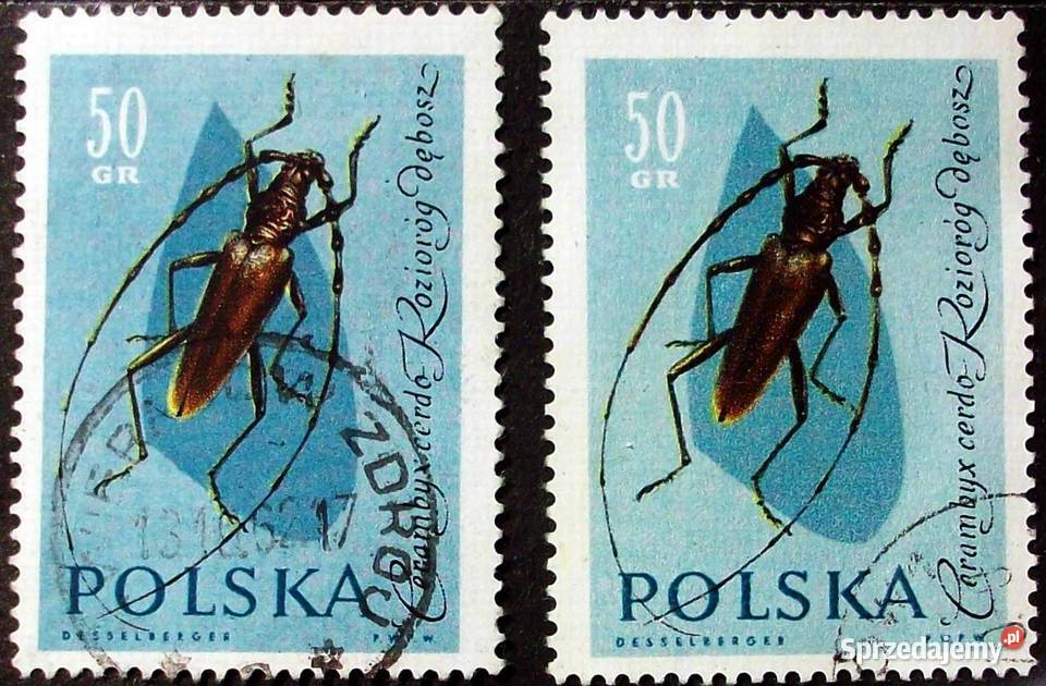 Polska1132113311341135113611371138113911401141114 łódzkie Leźnica Wielka