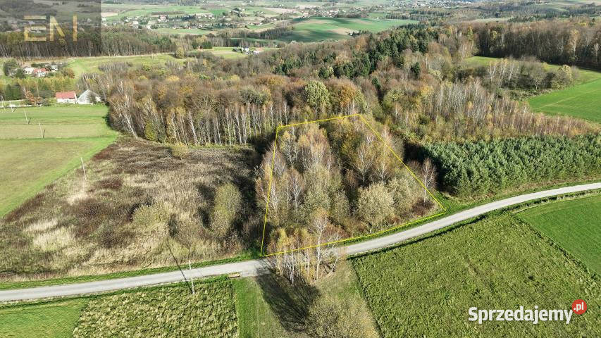 sprzedaży gruntu Niewodna 4500m2