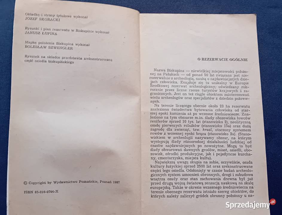 W Zajączkowski Biskupin rezerwat archeologiczny Koźminek