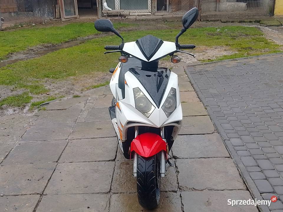 Skuter Longiia Exactly 50 LJ59QTK świętokrzyskie Wodzisław sprzedam