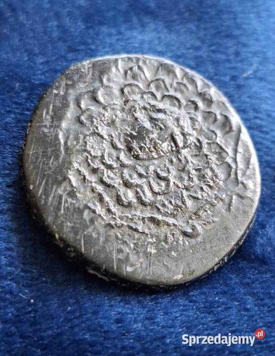 Starożytna Grecja moneta z Pontu Amisos I w pne sprzedam