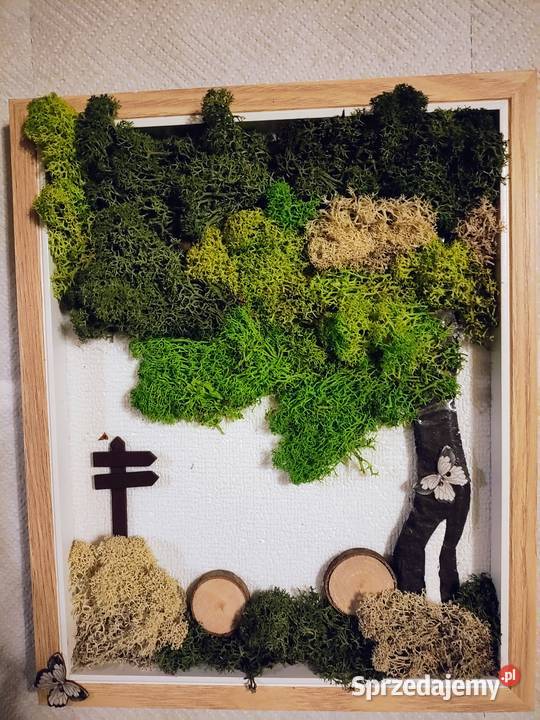 Zielono mi Tryptyk z mchu Obrazy wykonane z