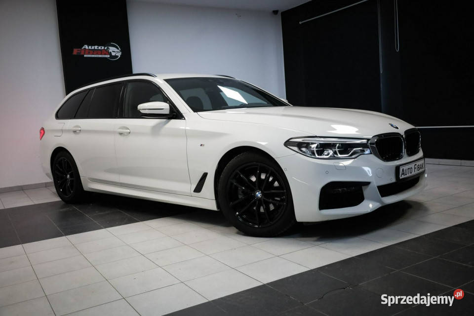 BMW 520 190xDriveMpakietSalon Konstantynów Łódzki