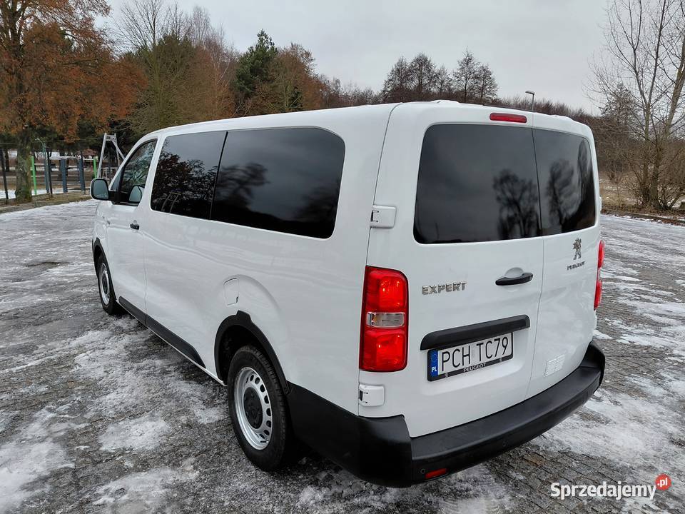Peugeot Expert 20 HDI 120 LONG 6 Osób Niski 87000km Szamocin