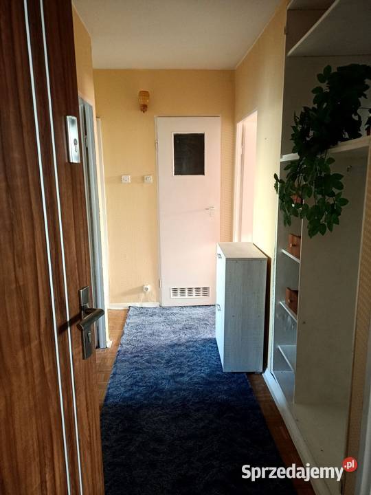 3pok 54met Żubrzej ROZKŁADBALKONPIWNICA Wrocław