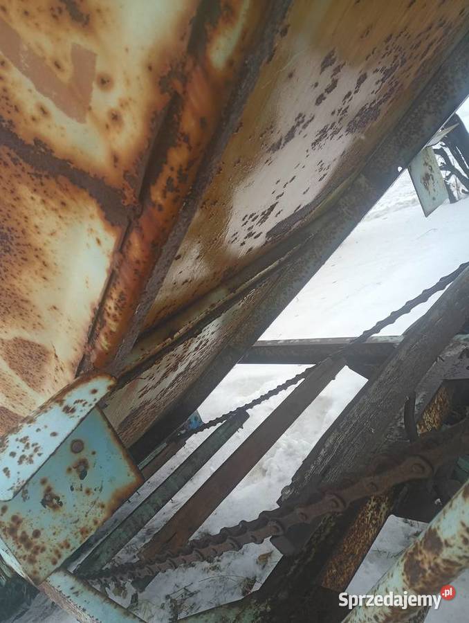 Podbieracz do liści buraczanych taśma Zamość