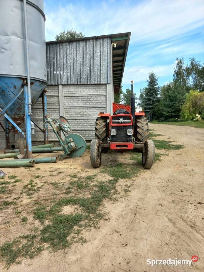 Ciągnik massey ferguson 158 ursus zetor Sochaczew