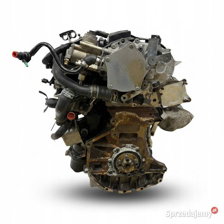 SILNIK BWE Audi A4 B7 Seat Exeo 20 TFSI 200 T osobowe Chełm