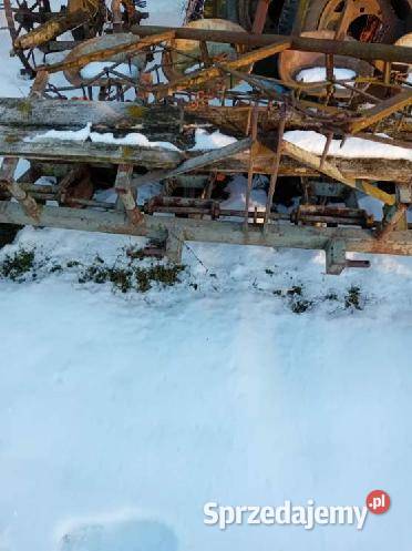 Sadzarka do warzyw nieuszkodzony Wólka Twarogowa