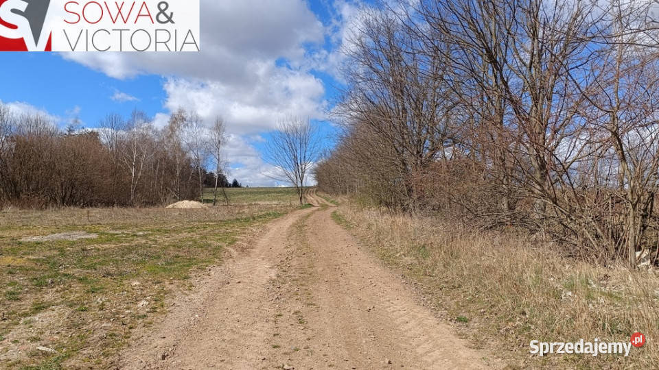 Słoneczna widokowa działka Jabłów sprzedam