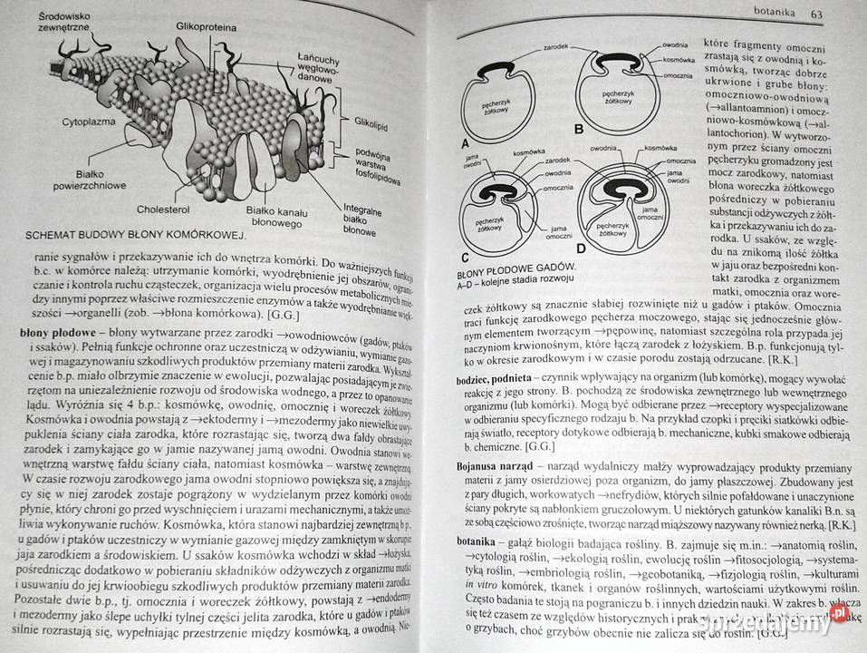 Słownik szkolny Biologia M Popielarska R twarda Pozostałe lubelskie Chełm