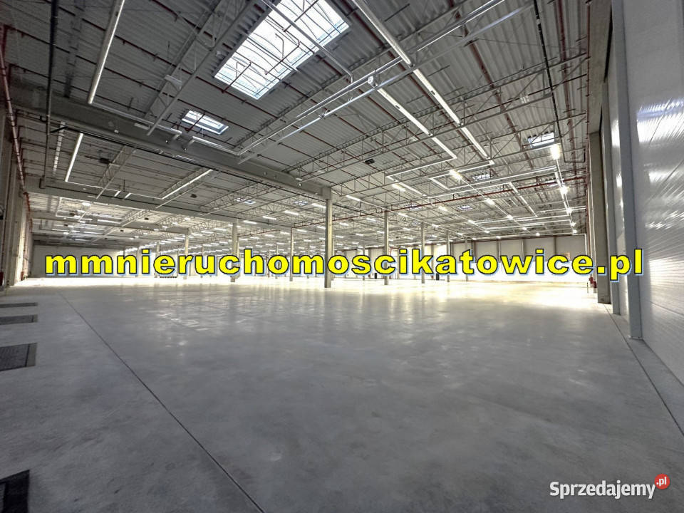 Halamagazyn do wynajęcia Katowice dojazd do