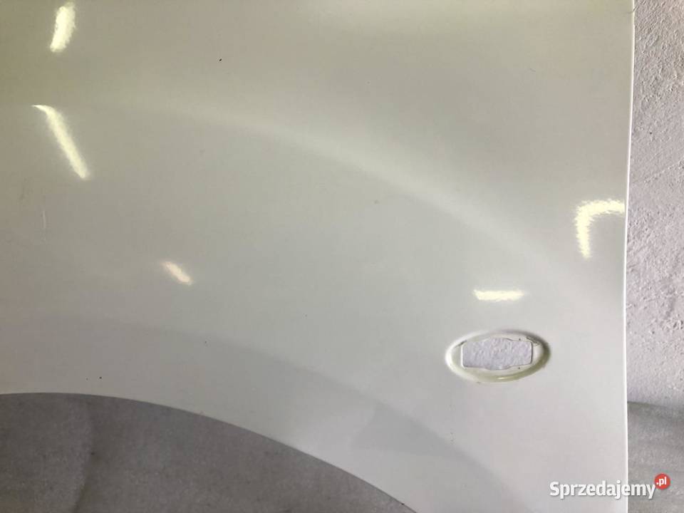 BŁOTNIK LEWY PRZÓD PEUGEOT PARTNER III BERLINGO