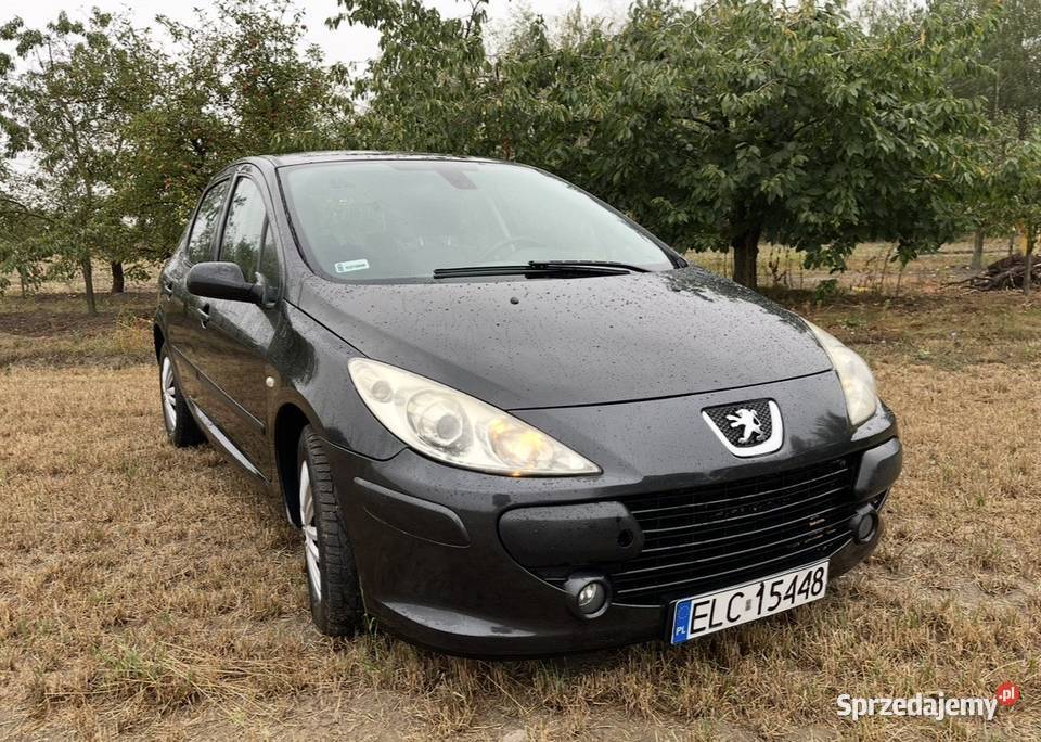 Peugeot 307