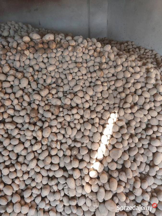 Ziemniaki zwierząt drobne 40gr śląskie