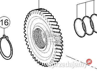 Claas Axion 870 Koło Zębate Tryb 0011657920 00 Jastrzębniki