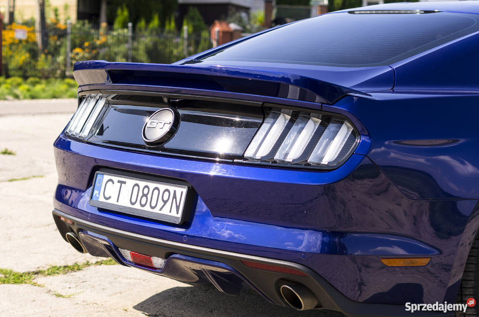 Ford Mustang 2016 50 Zadbany Józefkowo