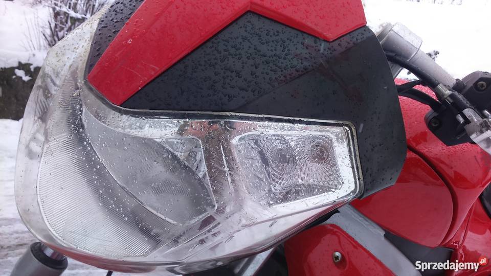 Kingway fennari leike kupiony w Polsce Kingway Nowy Sącz