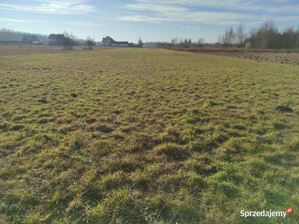 3 Działki Budowlane obok siebie 997 m2 MPZP 997m2 Węszelówka