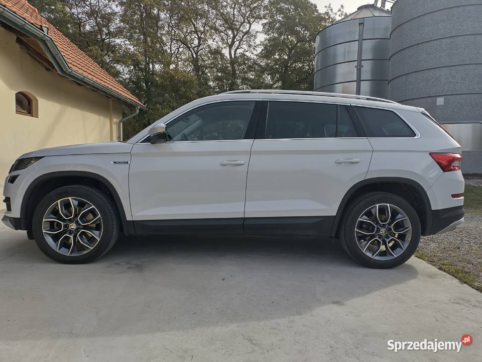 Kodiaq Scout 20 TDI 190 4x4 DSG 7 kupiony w polskim salonie