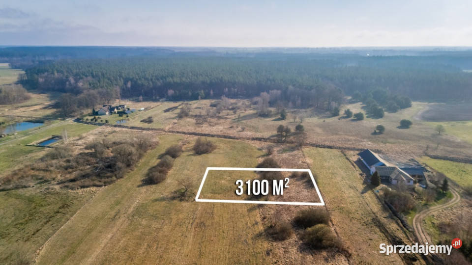 Działka w zielonej okolicy pod Szczecinem z 59zł/m2 sprzedam