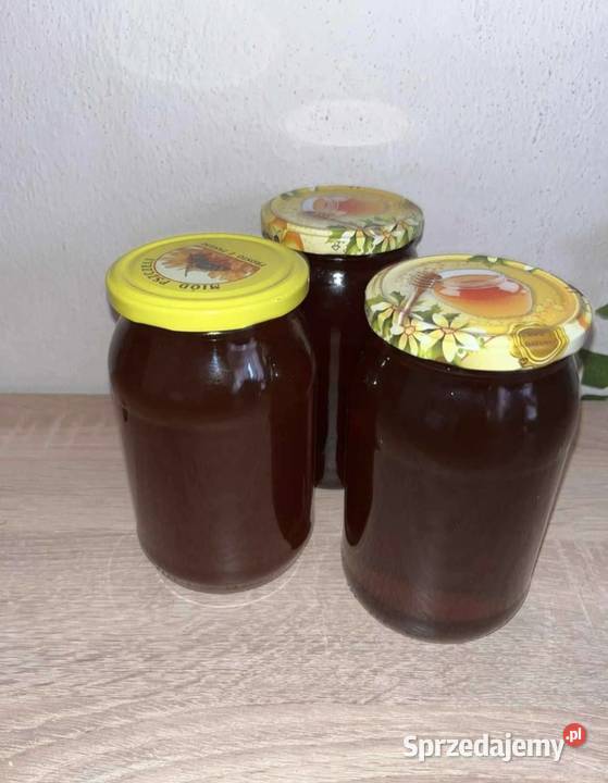 Sprzedam świeży miód leśny spadziowy z własnej Radom