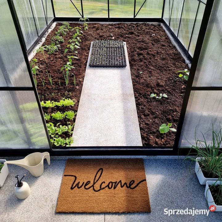 Płytki Granit G603 Bianco Cristal płomieniowany Lębork sprzedam