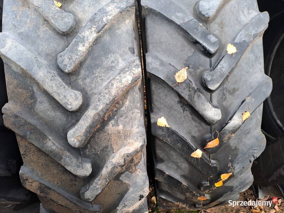 Opony dolnośląskie Dzierżoniów