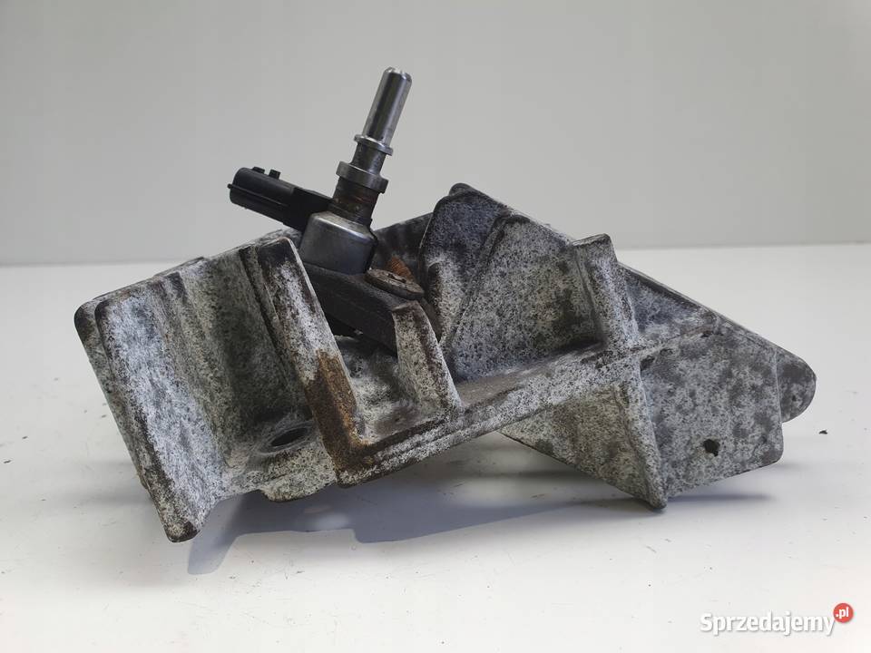 WTRYSKIWACZ Renault Megane III 15 DCI DPF łapa osobowe