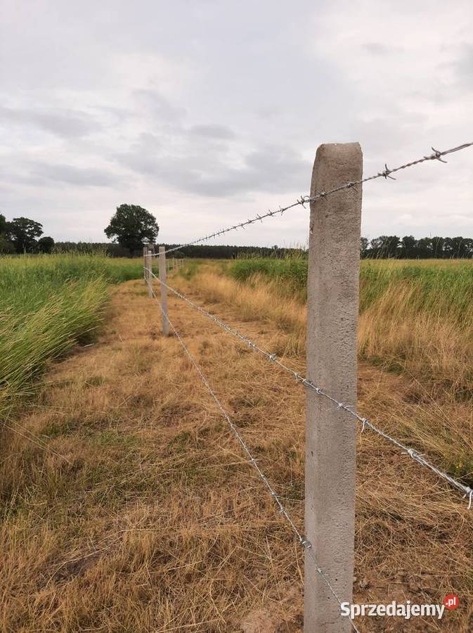 Ogrodzenia z siatki leśnej tymczasowe budowlane Wschowa
