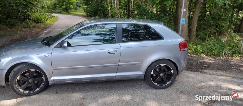 Audi A3 8P 19TDI 2005r Klima SprawnaŁadne Łódź