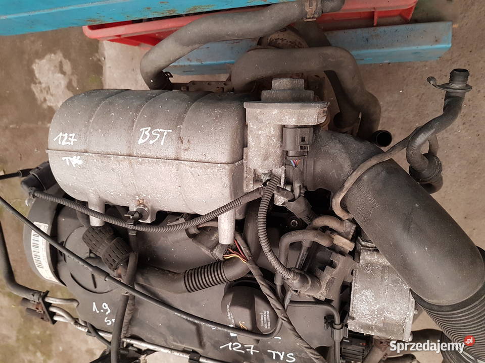 VW CADDY 2K0 SILNIK 19 SDI BST SILNIK KOMPLETNY Rok produkcji 2008 Turek